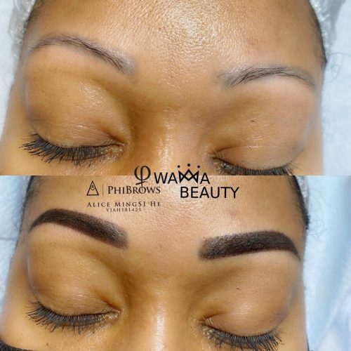 Microshading Eyebrows